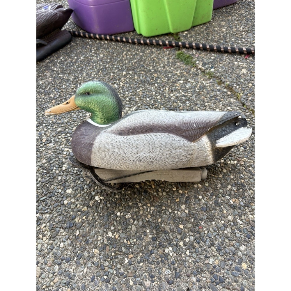 AVERY Greenhead Gear GHG  Mallard Drake DUCK Floating Decoy 60/40 Keel